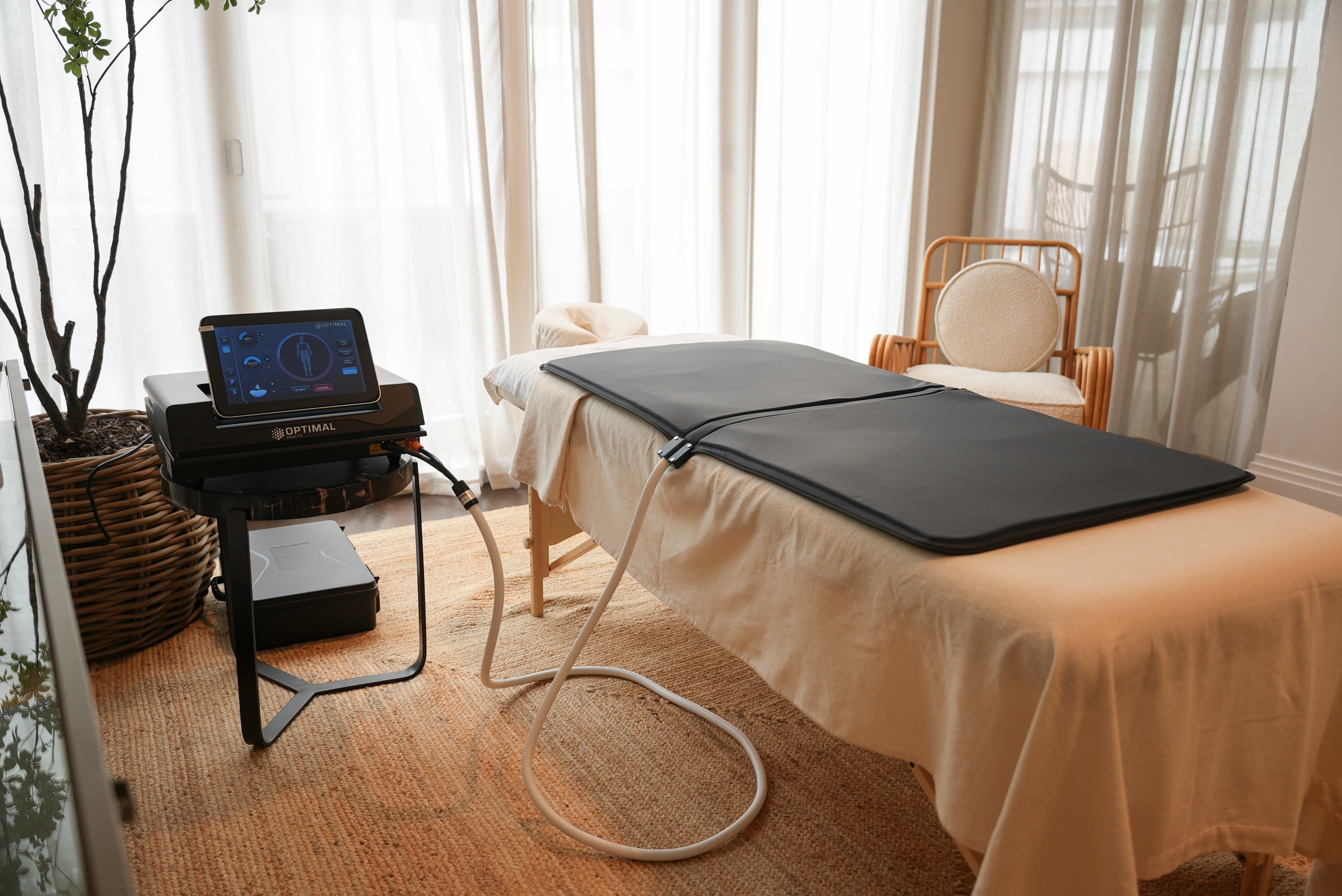 PEMF System for Pain Relief and Recovery